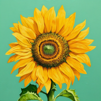 Thumbnail for Bright Yellow Single Sunflower