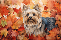 Thumbnail for Yorkshire Terrier In Fall Leaves