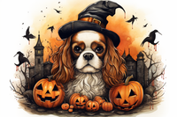 Thumbnail for Halloween King Charles Spaniel In Witch Hat