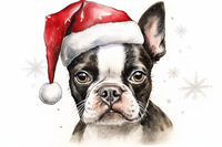 Thumbnail for Christmas Boston Terrier In Santa Hat