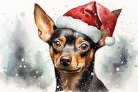 Thumbnail for Adorable Christmas Miniature Pinscher