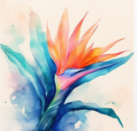 Thumbnail for A Watercolor Of A Bird Of Paradise