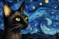 Thumbnail for Starry Night Siamese Cat  Diamond Painting Kits