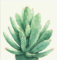 Thumbnail for Sweet And Simple Cacti