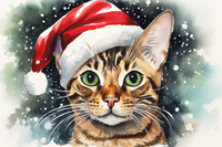 Thumbnail for Christmas Bengal Cat In Santa Hat
