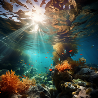Thumbnail for Mesmerizing Underwater Beauty