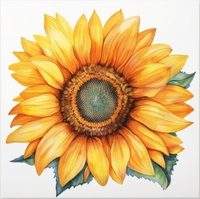 Thumbnail for Fun Large Yellow Sunflower