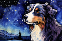Thumbnail for Watercolor Stargazing Australian  Diamond Painting Kits