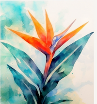Thumbnail for A Watercolor Bird Of Paradise
