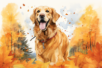 Thumbnail for Golden Retriever In The Fall