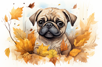 Thumbnail for Pug In Leaves