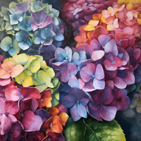 Thumbnail for Hydrangea In Bloom