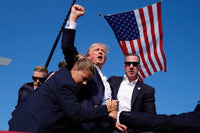 Thumbnail for Donald Trump Iconic Photo