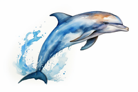 Thumbnail for Simple Blue Watercolor Dolphin  Diamond Painting Kits