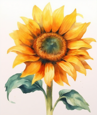 Thumbnail for Sweet Yellow Sunflower