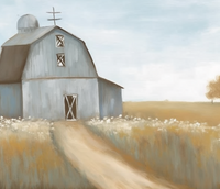 Thumbnail for Gray Barn And Blue Sky