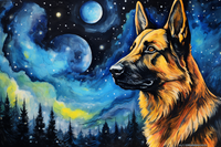 Thumbnail for Stargazing German Shepard