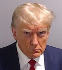Thumbnail for The Donald Mugshot Diamond Painting Kit