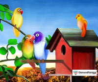 Thumbnail for Colorful Bird House Diamond Painting Kit Free Diamond Painting 