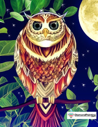 Thumbnail for Colorful Owl Diamond Painting Kit Free Diamond Painting 