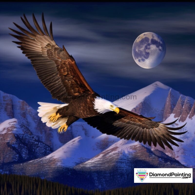 Eagle Sky Paint By Diamonds Kit for Adults Free Diamond Painting 