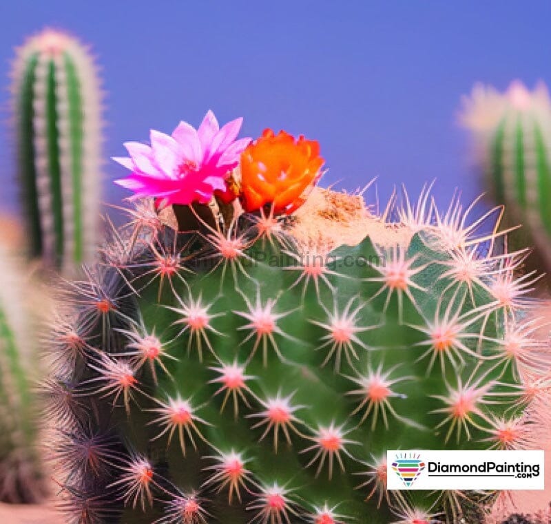 Looking Sharp Little Cacti With Flowers Free Diamond Painting 