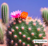 Thumbnail for Looking Sharp Little Cacti With Flowers Free Diamond Painting 