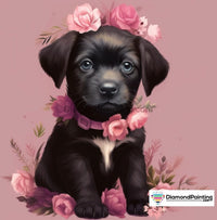 Thumbnail for Pretty Puppy Free Diamond Painting 