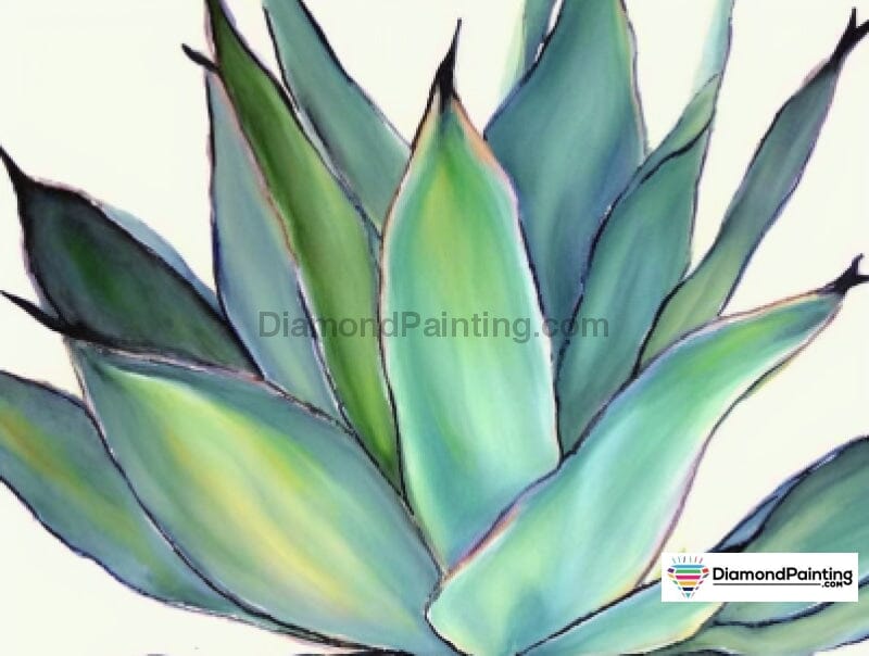 Smooth Aloe Free Diamond Painting 
