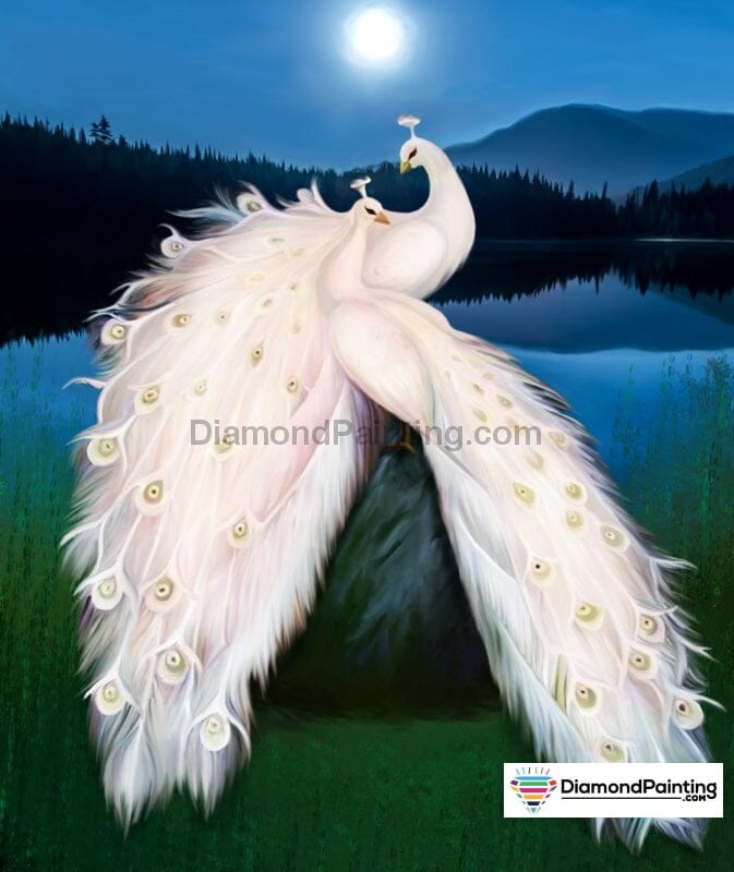 White Peacock Moonlight Free Diamond Painting 